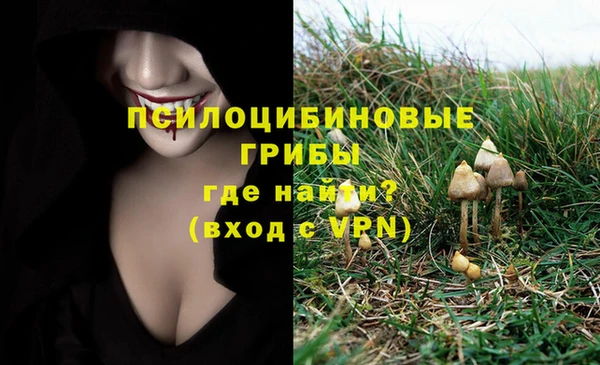 apvp Белоозёрский