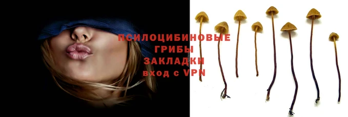 твердый Белокуриха