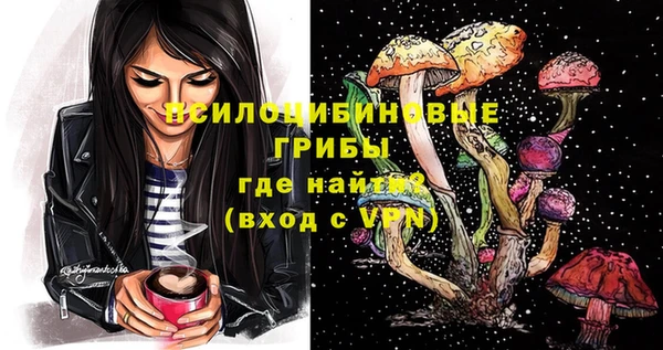 твердый Белокуриха