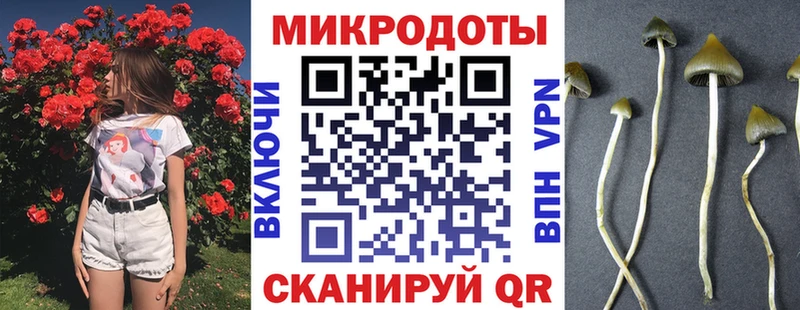 Галлюциногенные грибы ЛСД  Мглин 